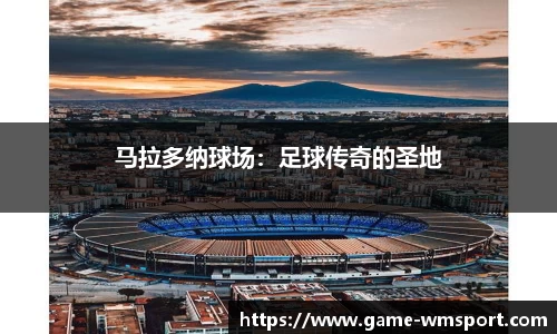 完美体育公司