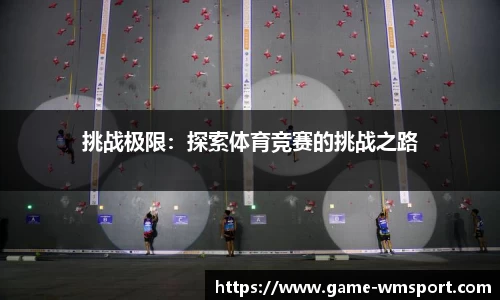 完美体育公司